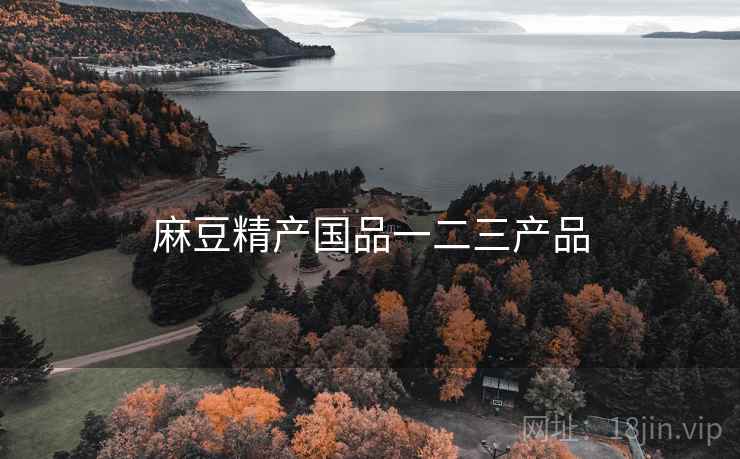 麻豆精产国品一二三产品
