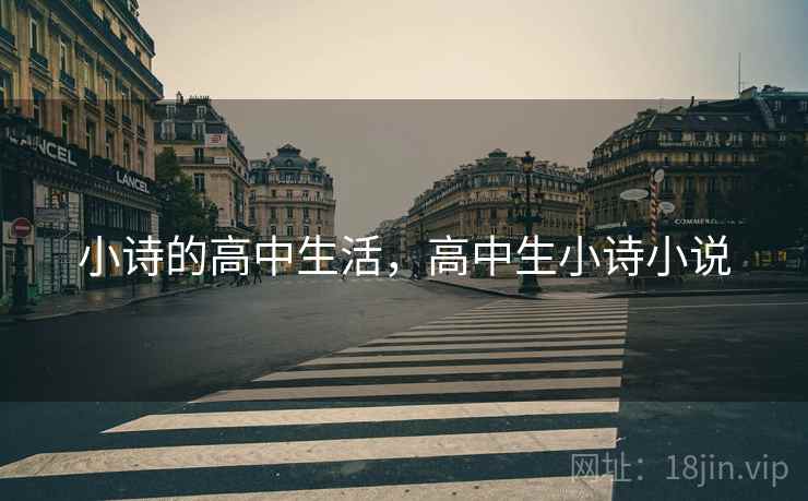 小诗的高中生活，高中生小诗小说