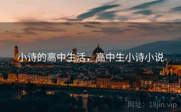 小诗的高中生活，高中生小诗小说
