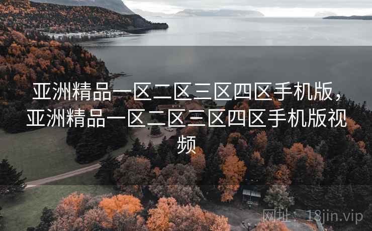 亚洲精品一区二区三区四区手机版，亚洲精品一区二区三区四区手机版视频